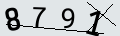 verifycode